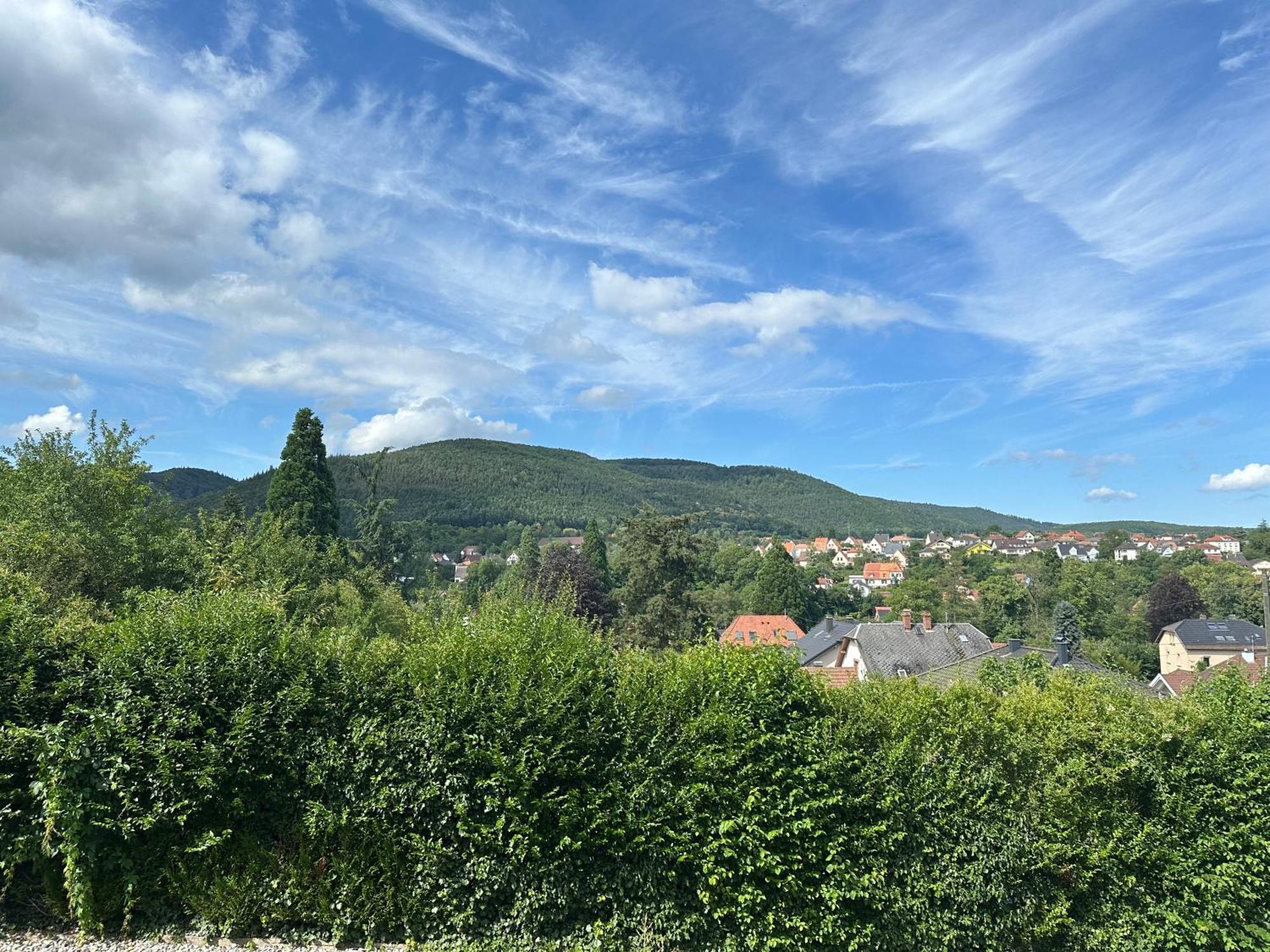 Horizons Du Haut Niederbronn-les-Bains Exterior photo